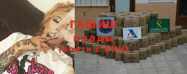 индика Алзамай