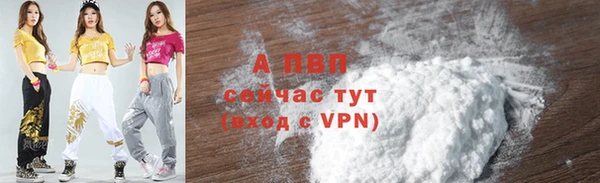 стаф Алексин