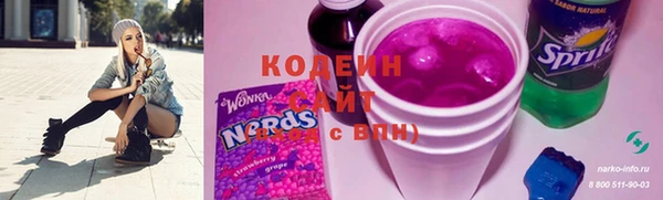 индика Алзамай