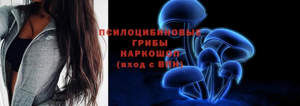 индика Алзамай