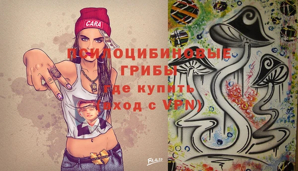 индика Алзамай