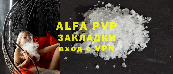 стаф Алексин