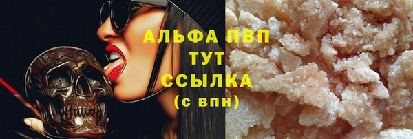 стаф Алексин