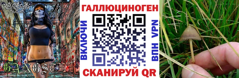 площадка как зайти  Елабуга  Галлюциногенные грибы мухоморы  гидра ссылка 