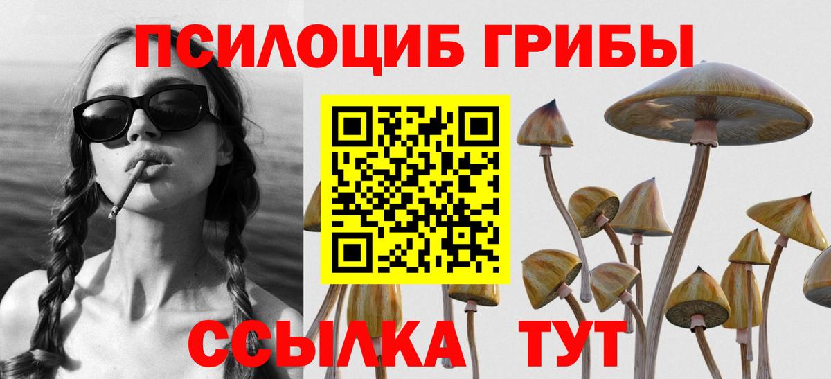 Псилоцибиновые грибы ЛСД  закладка  Елабуга  Вход с VPN 