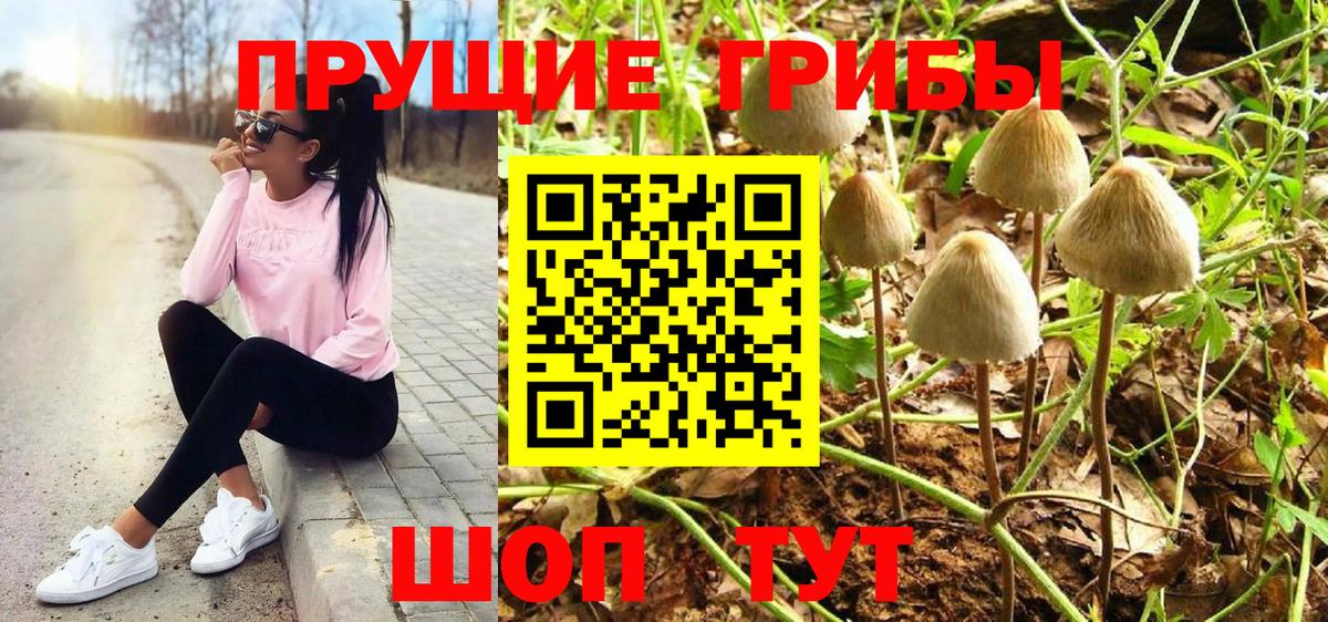 Псилоцибиновые грибы Magic Shrooms  Елабуга  Псилоцибиновые грибы Cubensis 